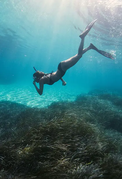 Girl swimming exploring the ocean floor