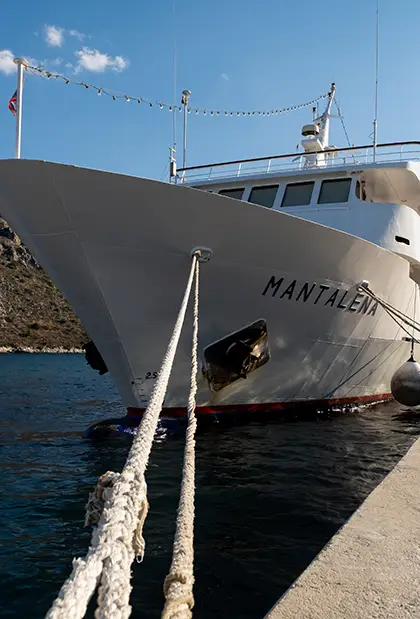 Cruise ship in Tolo port